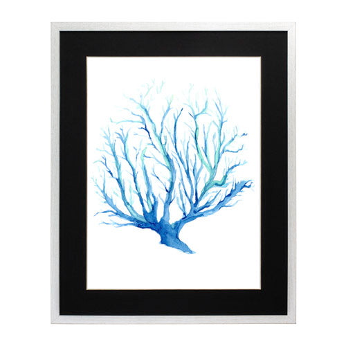 Mar Coral 2