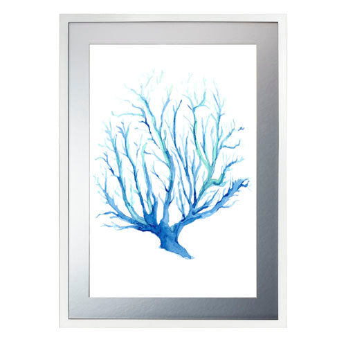 Mar Coral 2
