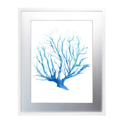 Mar Coral 2
