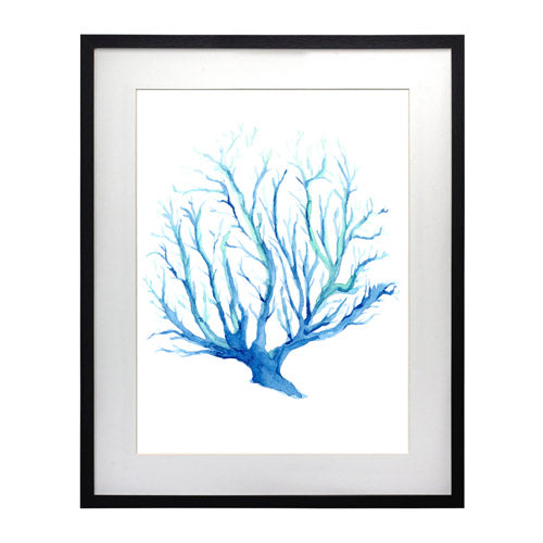 Mar Coral 2