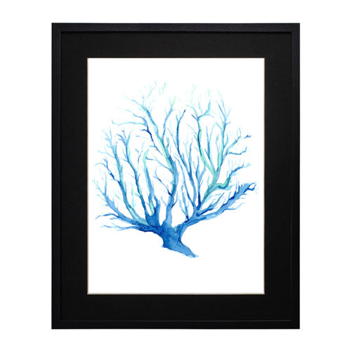 Mar Coral 2