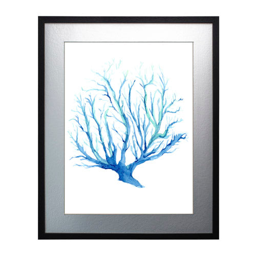 Mar Coral 2