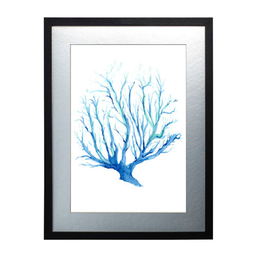Mar Coral 2