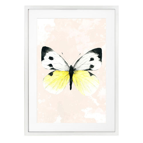 Mariposa 1