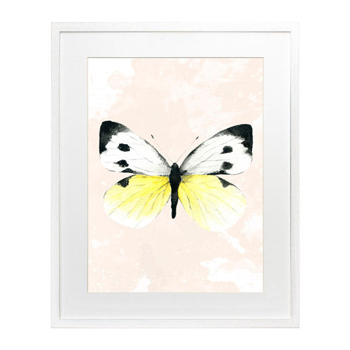 Mariposa 1