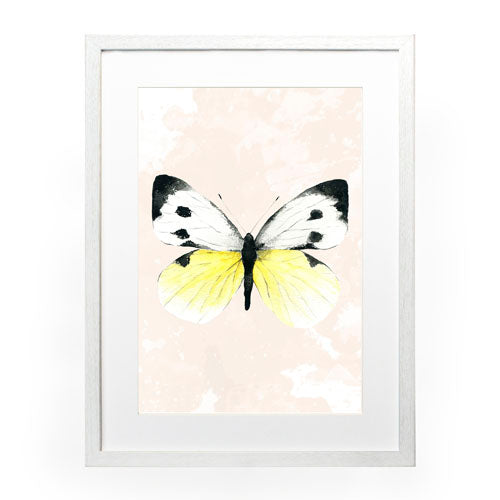 Mariposa 1