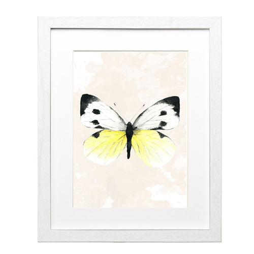 Mariposa 1