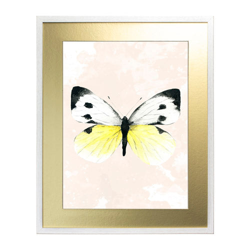 Mariposa 1