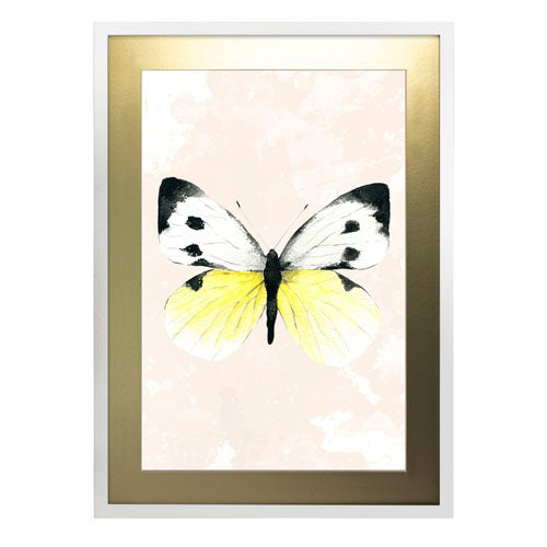 Mariposa 1