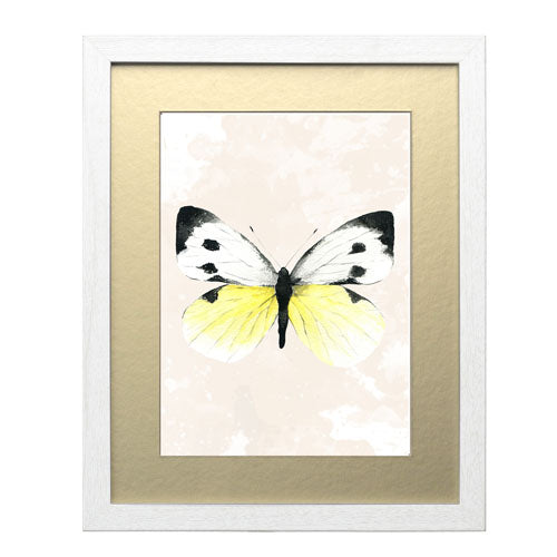 Mariposa 1