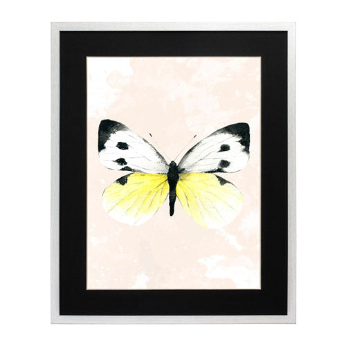 Mariposa 1
