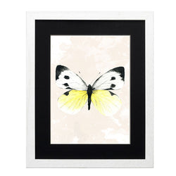 Mariposa 1