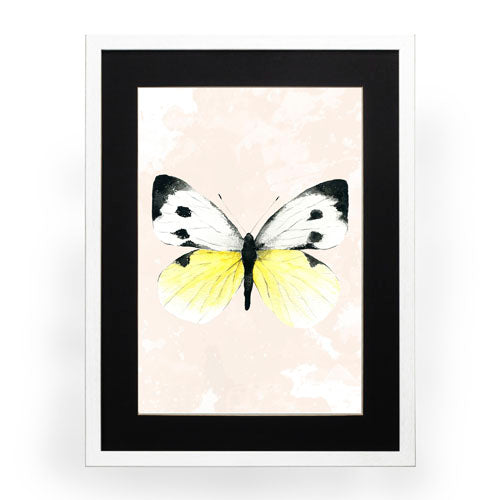 Mariposa 1