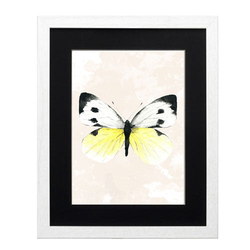 Mariposa 1