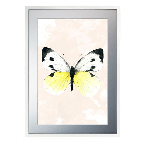 Mariposa 1