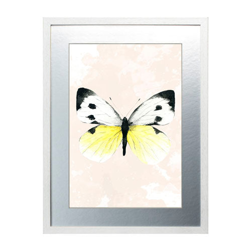 Mariposa 1