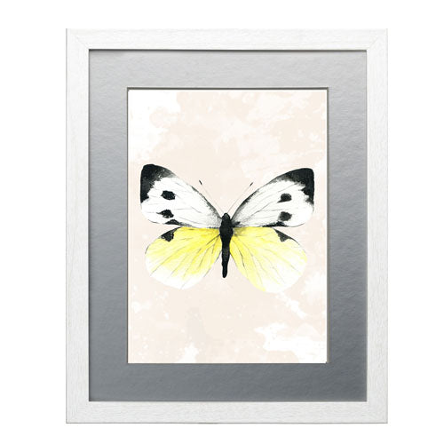 Mariposa 1