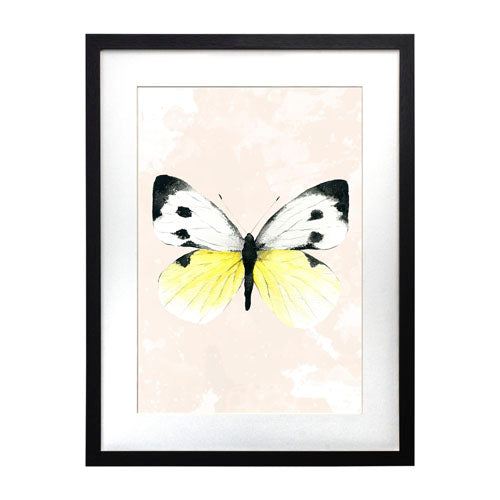 Mariposa 1