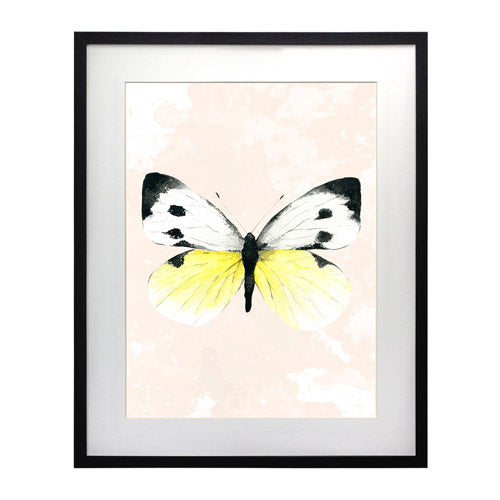 Mariposa 1