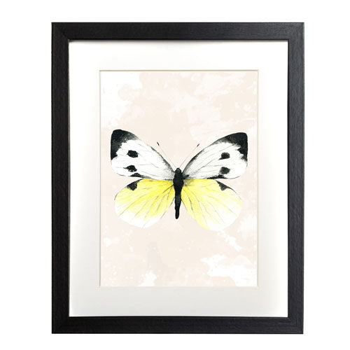 Mariposa 1