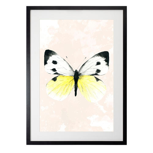 Mariposa 1