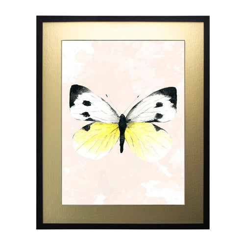 Mariposa 1