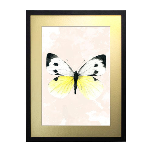 Mariposa 1