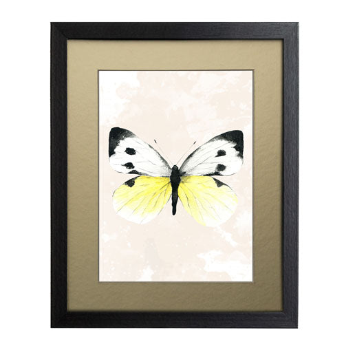 Mariposa 1