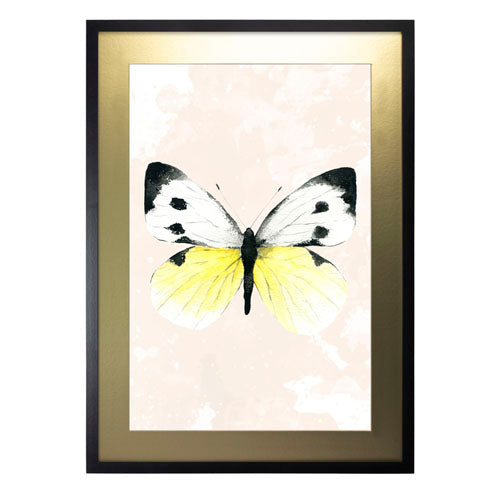 Mariposa 1
