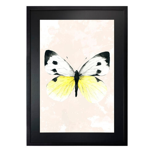 Mariposa 1