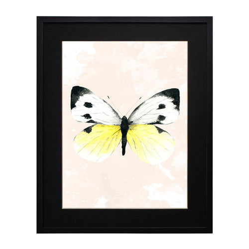 Mariposa 1