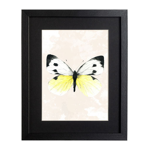 Mariposa 1