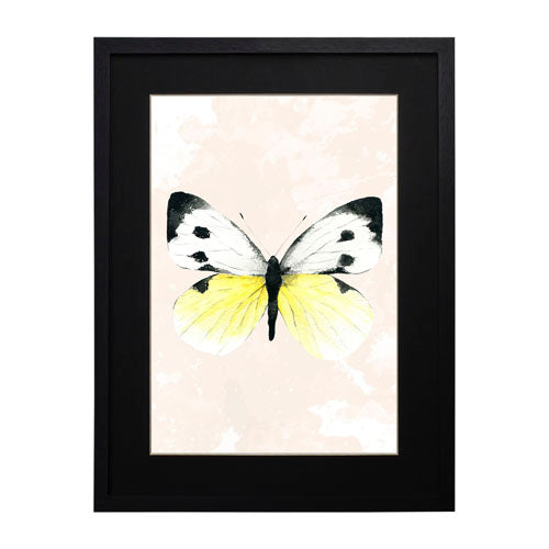 Mariposa 1
