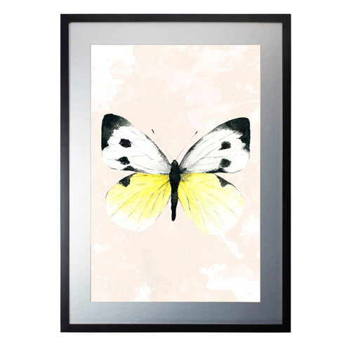 Mariposa 1