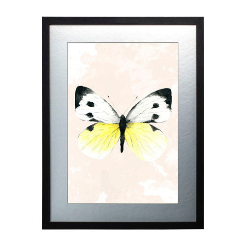 Mariposa 1