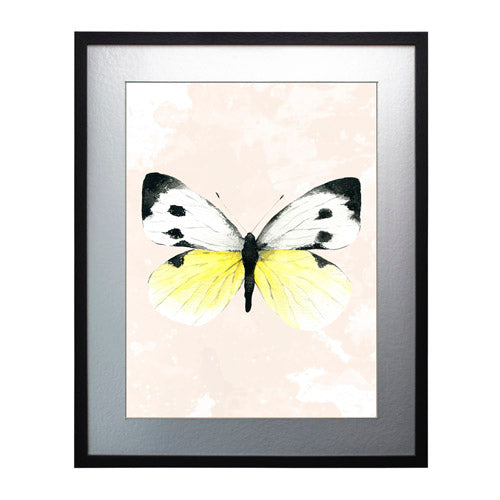 Mariposa 1