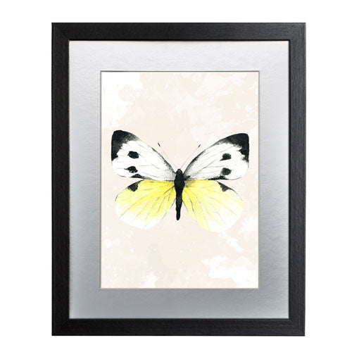 Mariposa 1