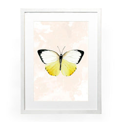Mariposa 3