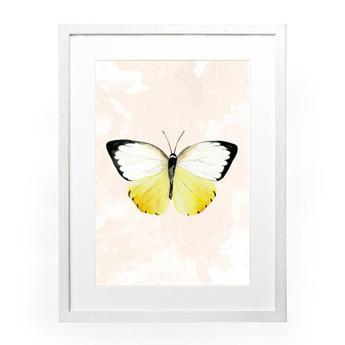 Mariposa 3