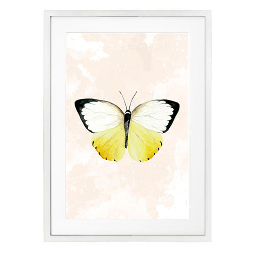 Mariposa 3
