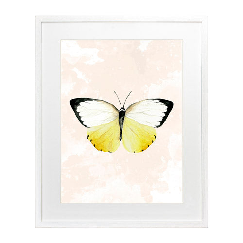 Mariposa 3
