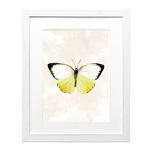 Mariposa 3