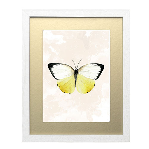 Mariposa 3