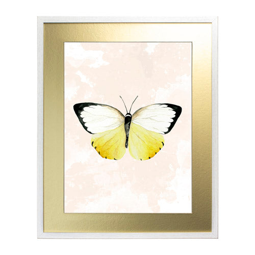 Mariposa 3
