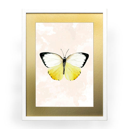 Mariposa 3