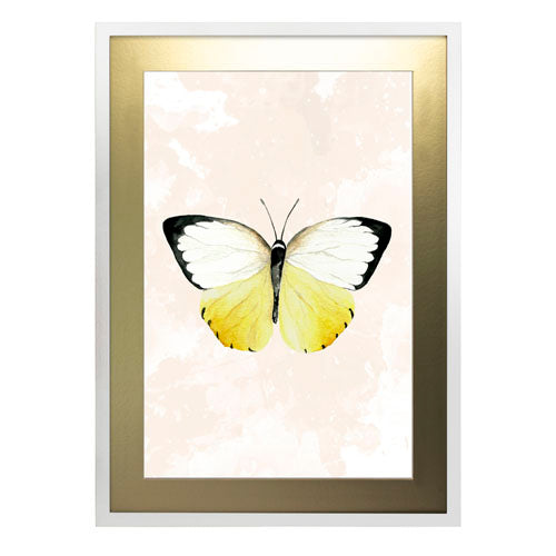 Mariposa 3