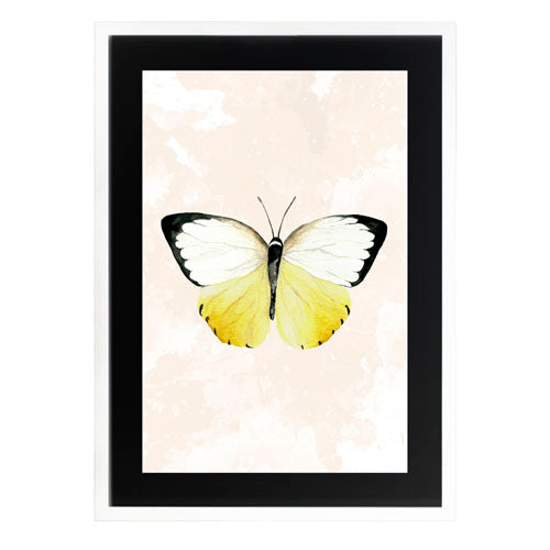 Mariposa 3