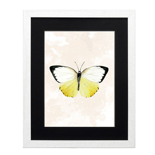 Mariposa 3
