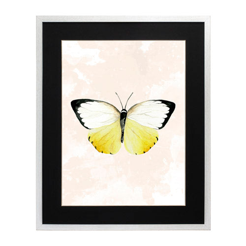 Mariposa 3