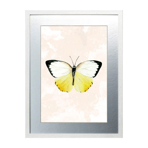 Mariposa 3